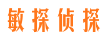 龙里寻人公司